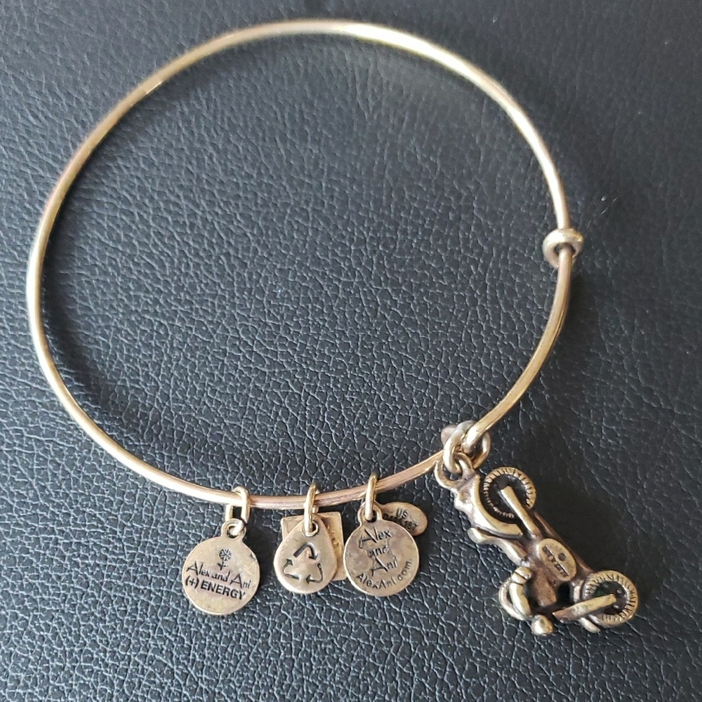 Alex and Ani Brass Motorcycle Energy Charm Bangle Bracelet